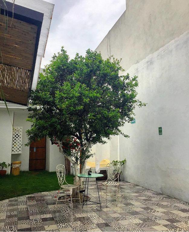 Hoja Santa Hostal Boutique Cholula Extérieur photo